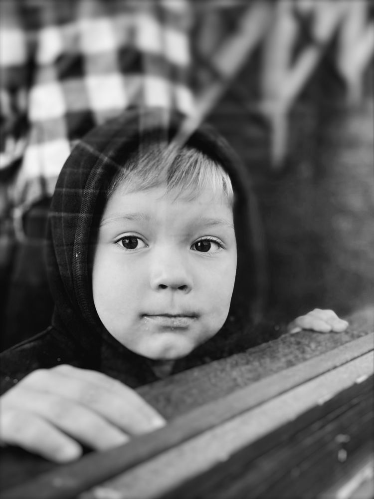 Фотография автора Валерия Витте