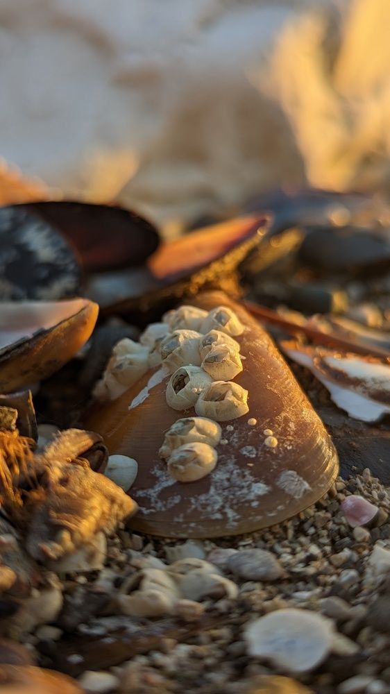 Photograph by Вероника Колбасова