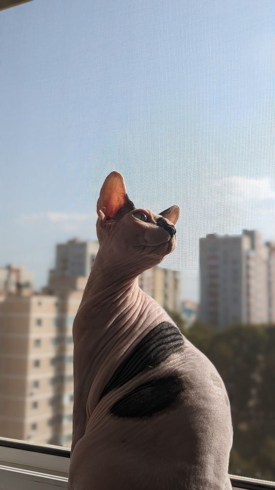 Photograph by Вероника Колбасова