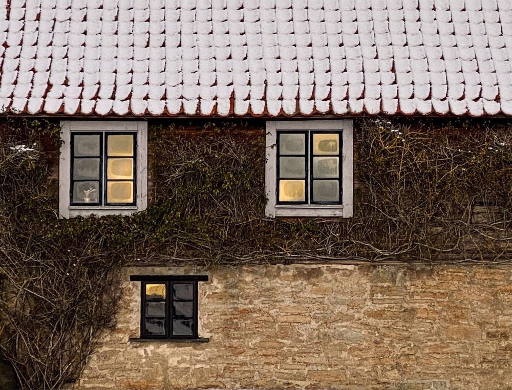 Photograph by Janina Segeda