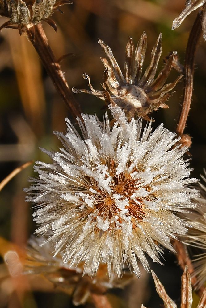 Photograph by Елена Гасенко