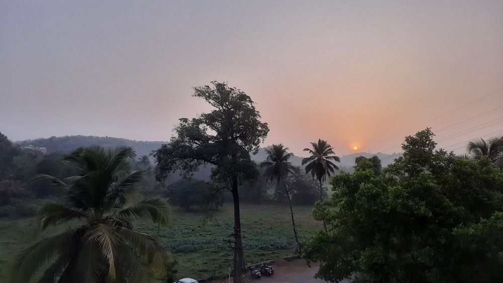 Photo #9771820