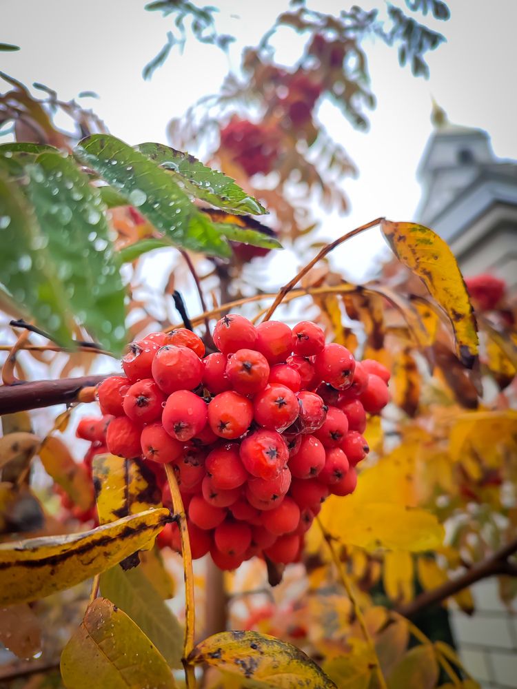 Photograph by Оксана Аралова