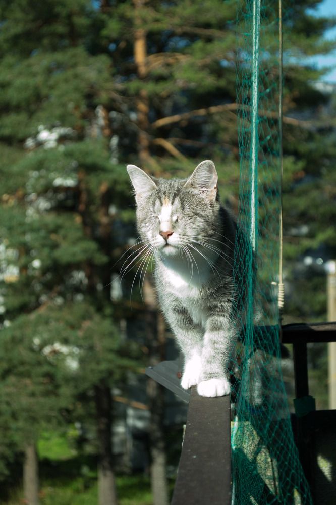 Photograph by Евгения Щеколдина