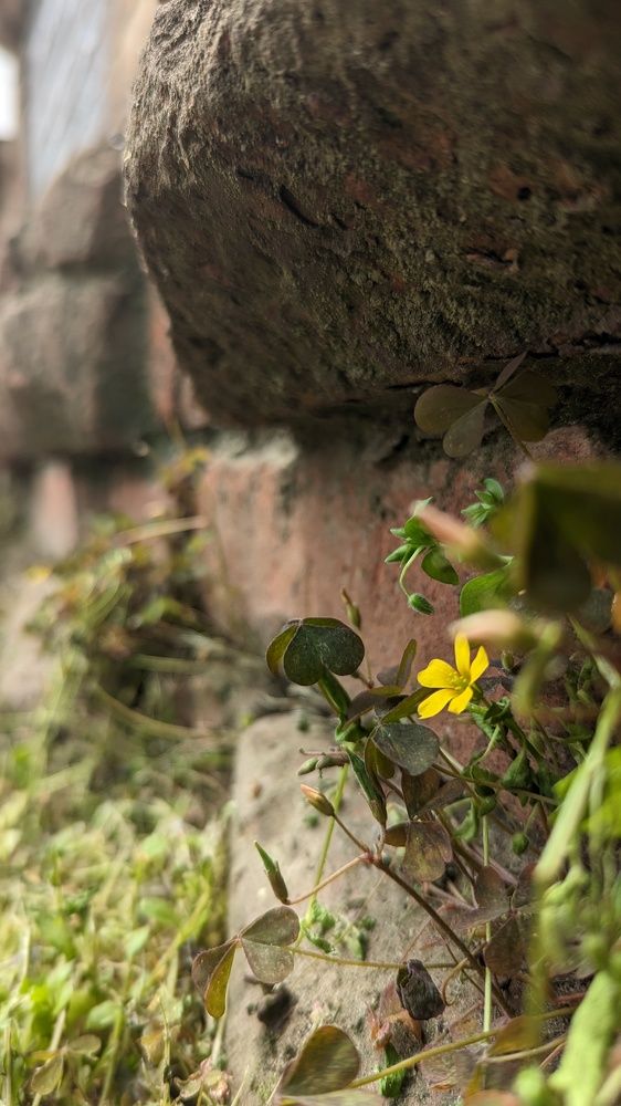 Photograph by Вероника Колбасова