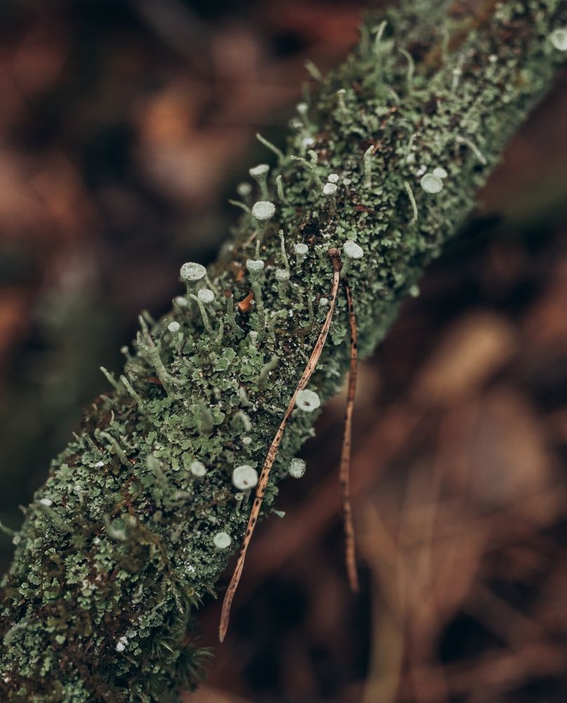 Photograph by Марина Рукавичко