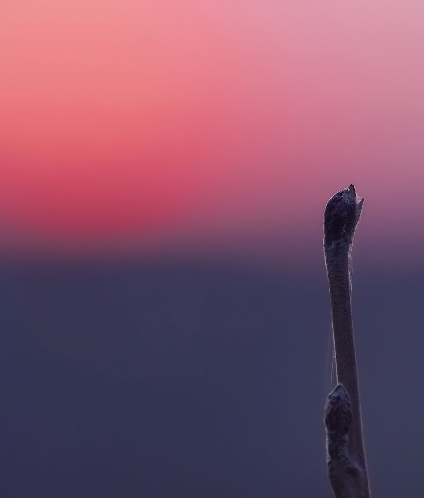 Photograph by Евгений Гонтов