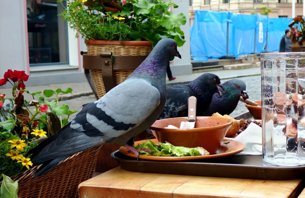 Photograph by Pjotr Alekseev