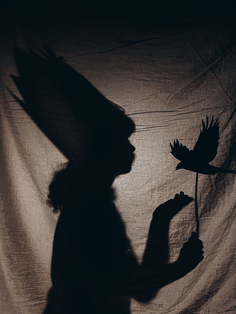 Photograph by Дарья