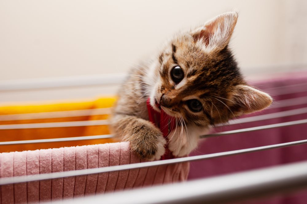 Photograph by Гузалия Галиуллина