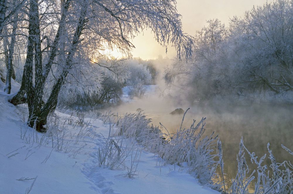 Photograph by Мишустина Татьяна