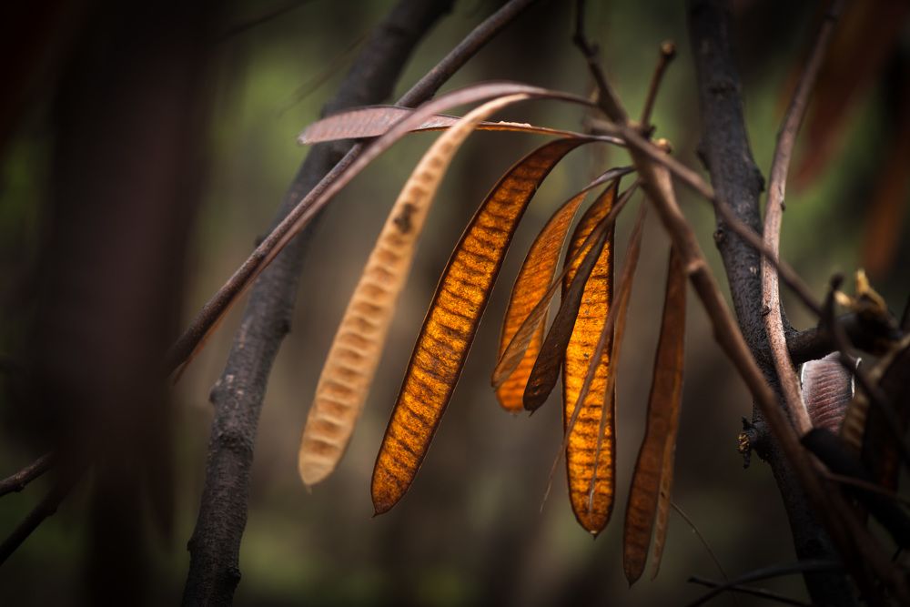 Photograph by Sumit Dhuper