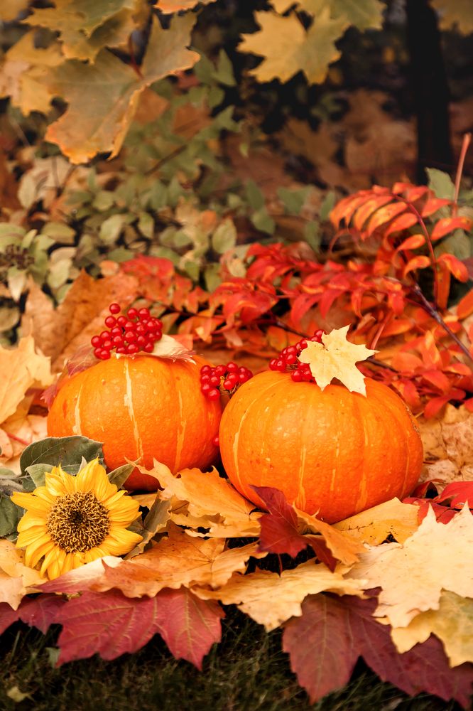 Фотография автора Альбина Кадочникова