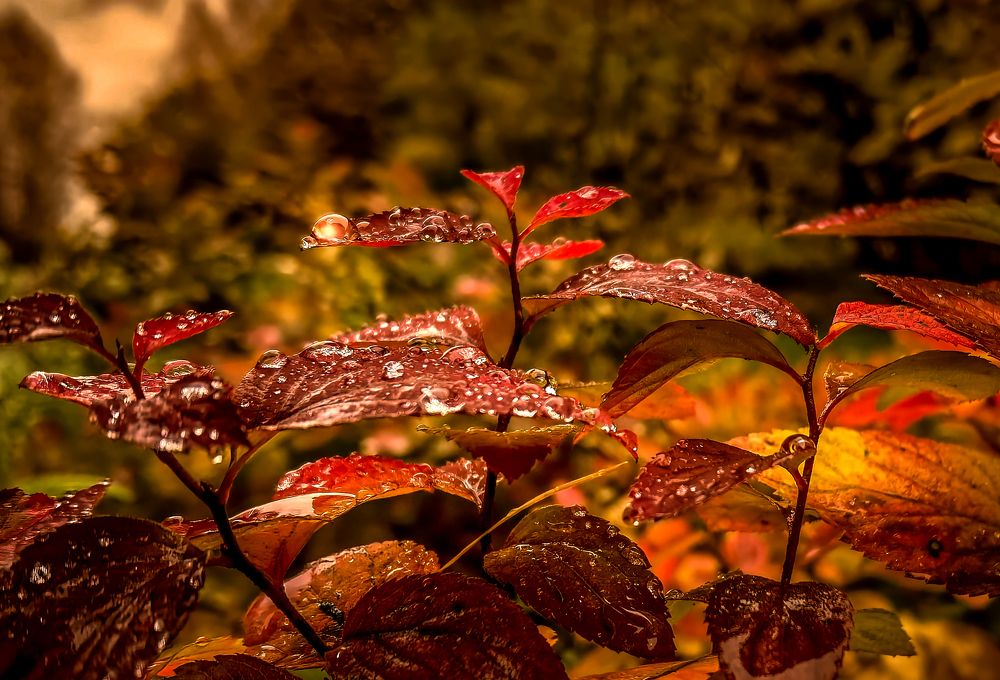 Photograph by Александр Разумов