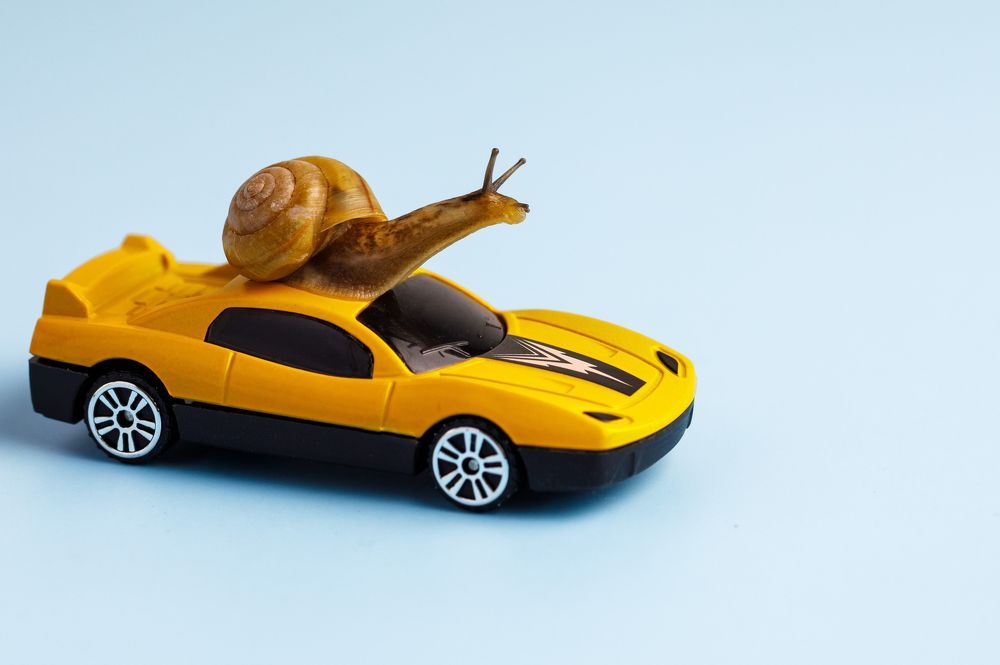 Photograph by Людмила Аксенова