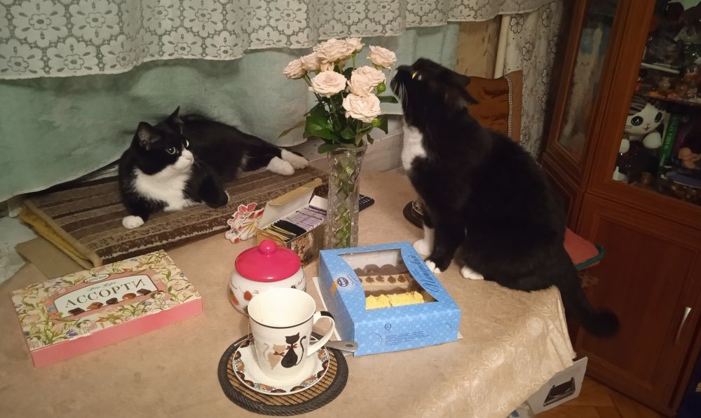 Photograph by Наталия Колемасова