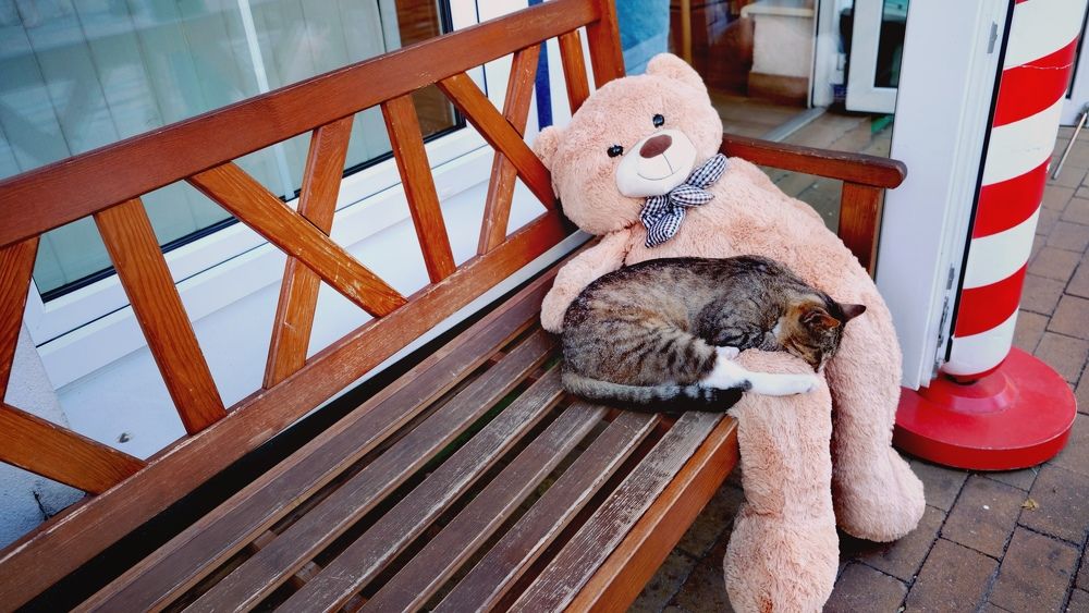 Photograph by Наталия Питолина