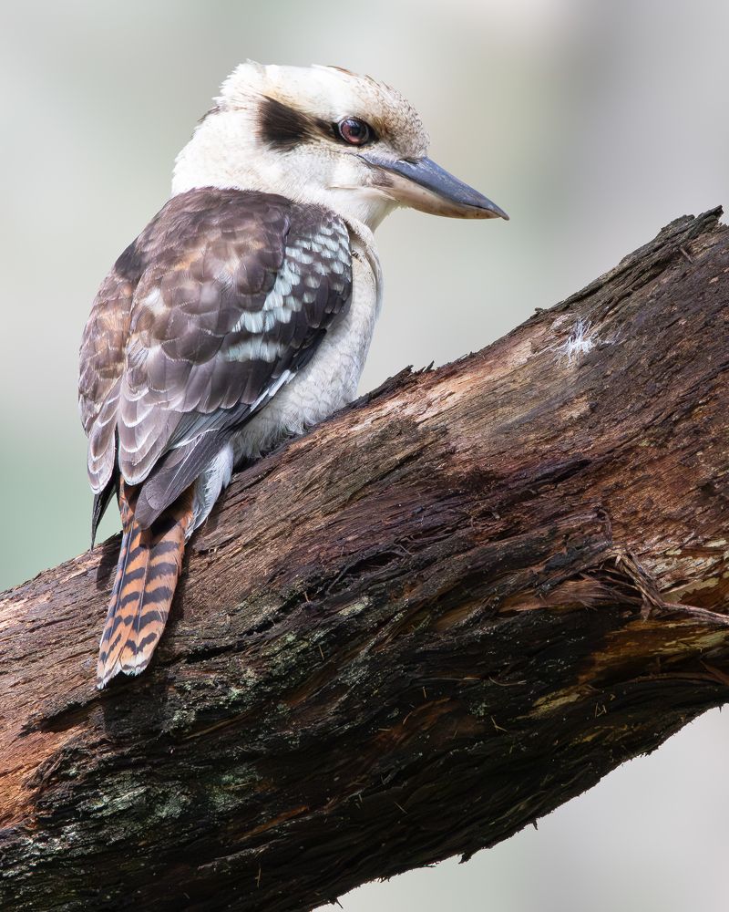 Photograph by Ishaan Shrimali