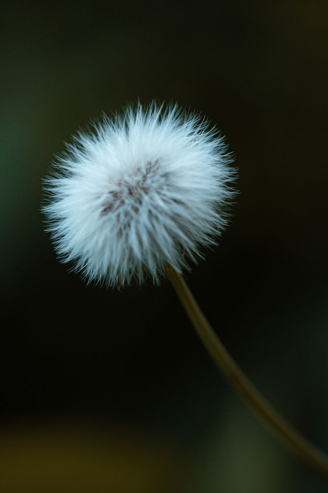 Photograph by Violeta Sapir