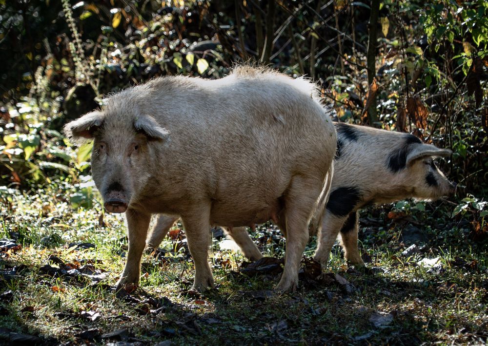 Photograph by Юрий Гаврилов