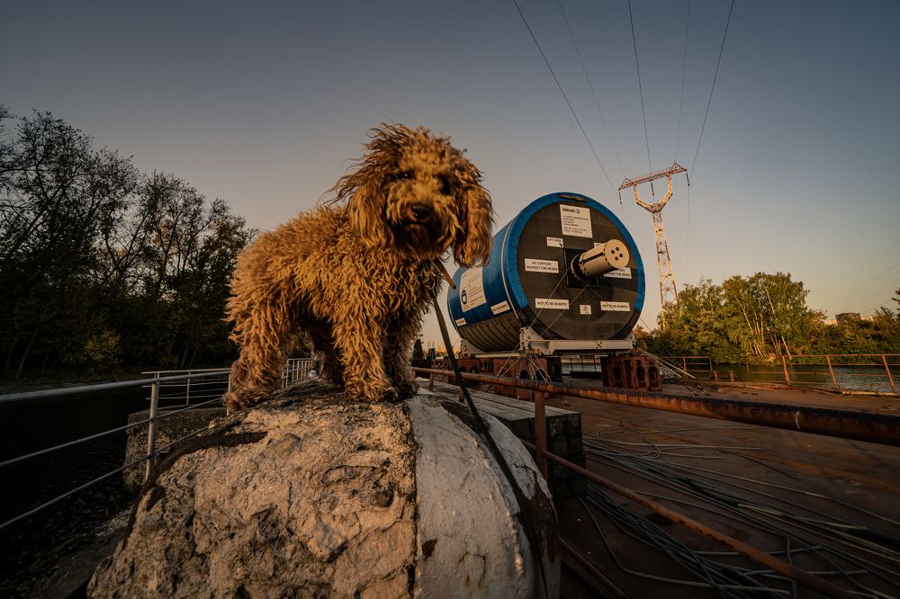 Photograph by Юрий Гаврилов