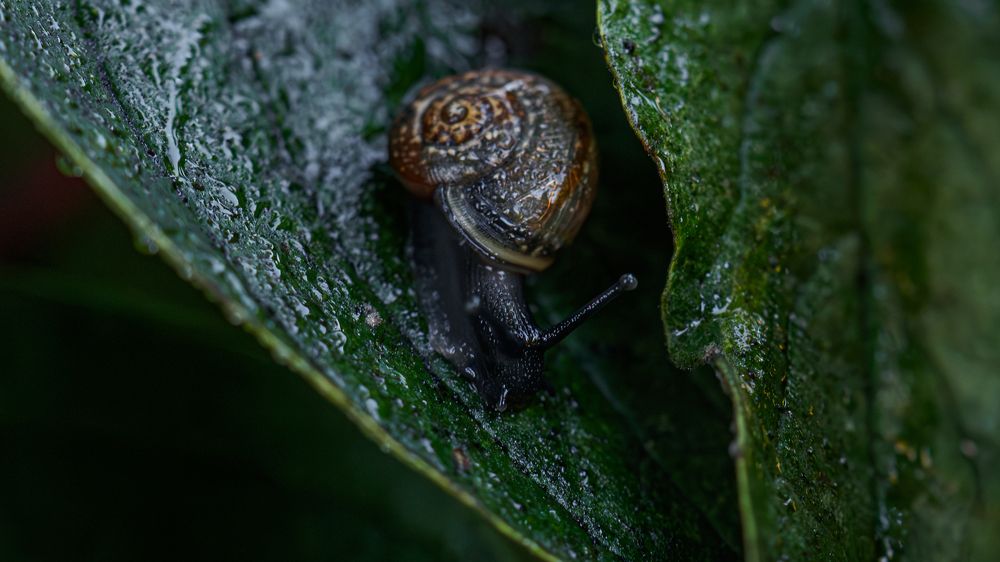 Photograph by Мичурин Андрей