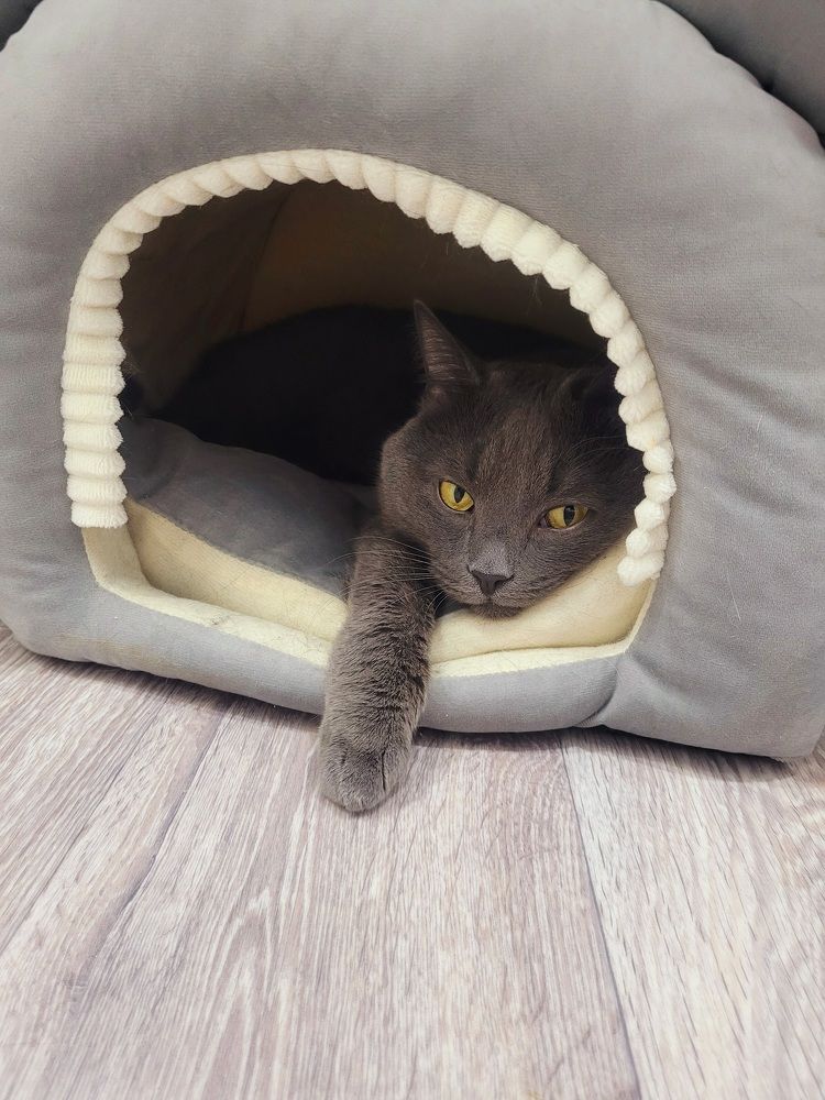 Photograph by Лариса Аркадиевна