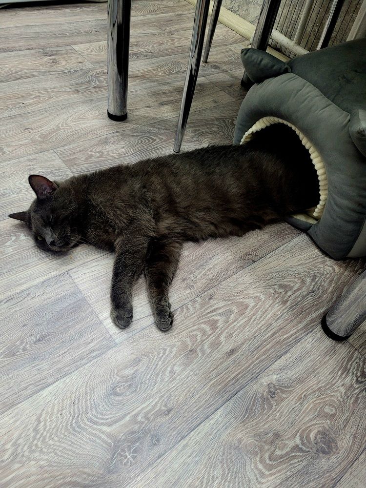 Photograph by Лариса Аркадиевна