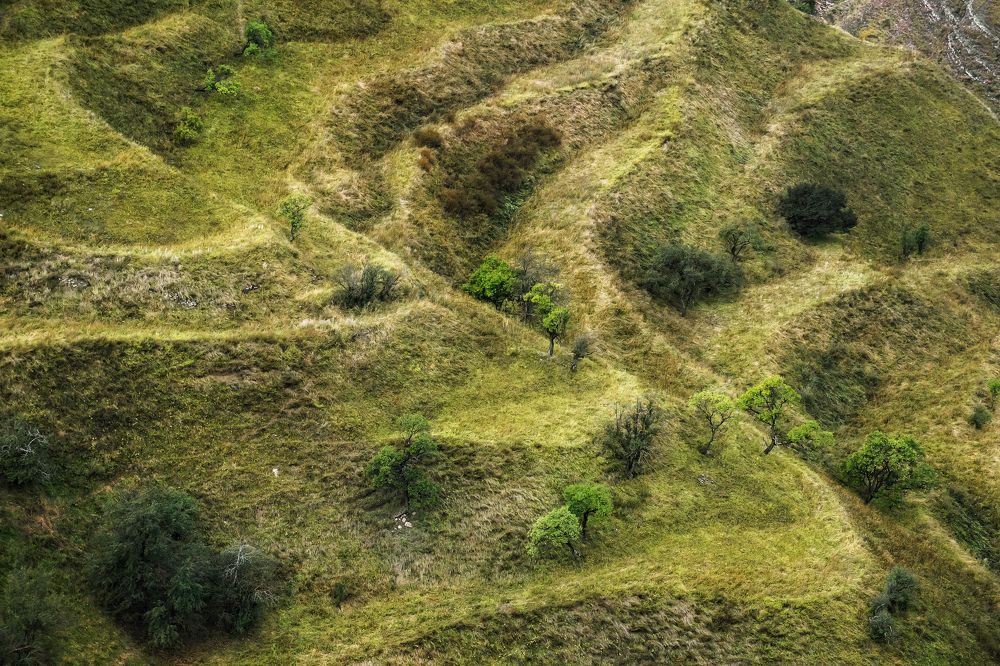 Photograph by Соколова Елена