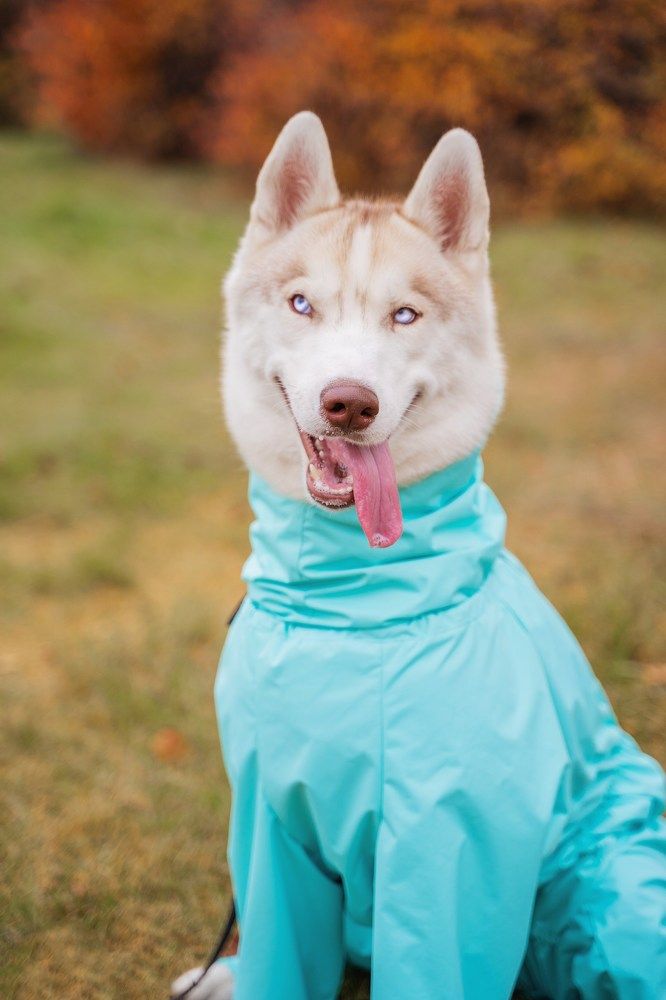 Фотография автора Юлия Бец