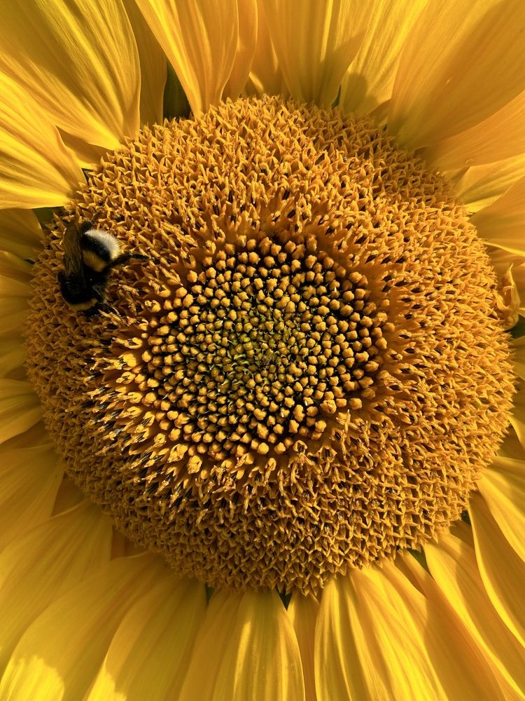 Photograph by Виталия