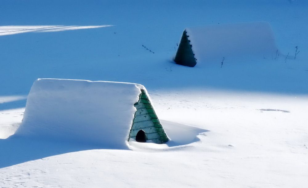 Photograph by Игорь Меньшенин