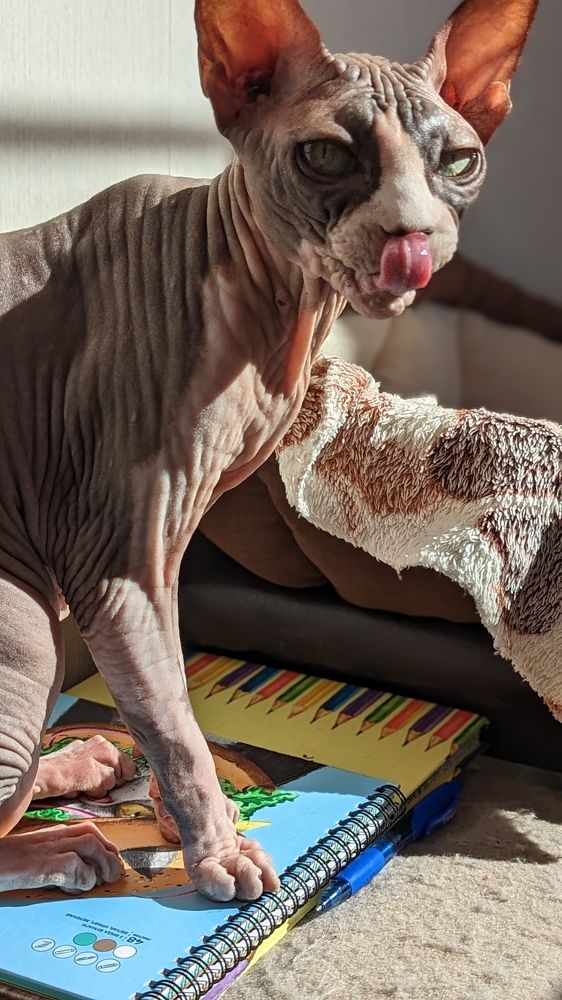 Photograph by Вероника Колбасова