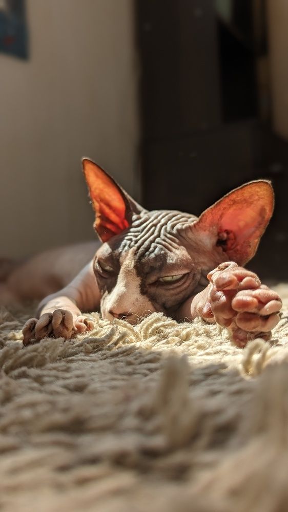 Photograph by Вероника Колбасова