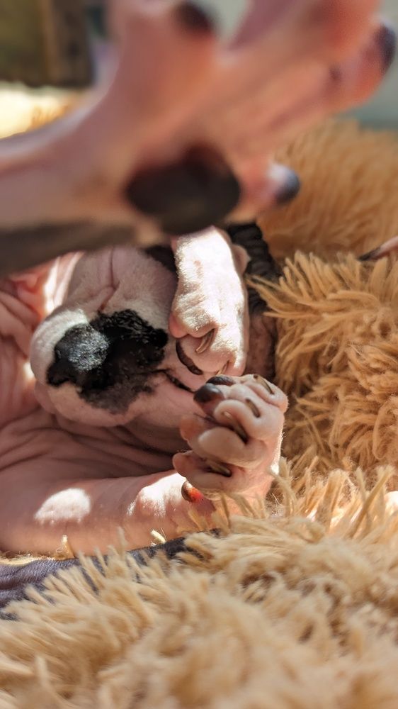 Photograph by Вероника Колбасова