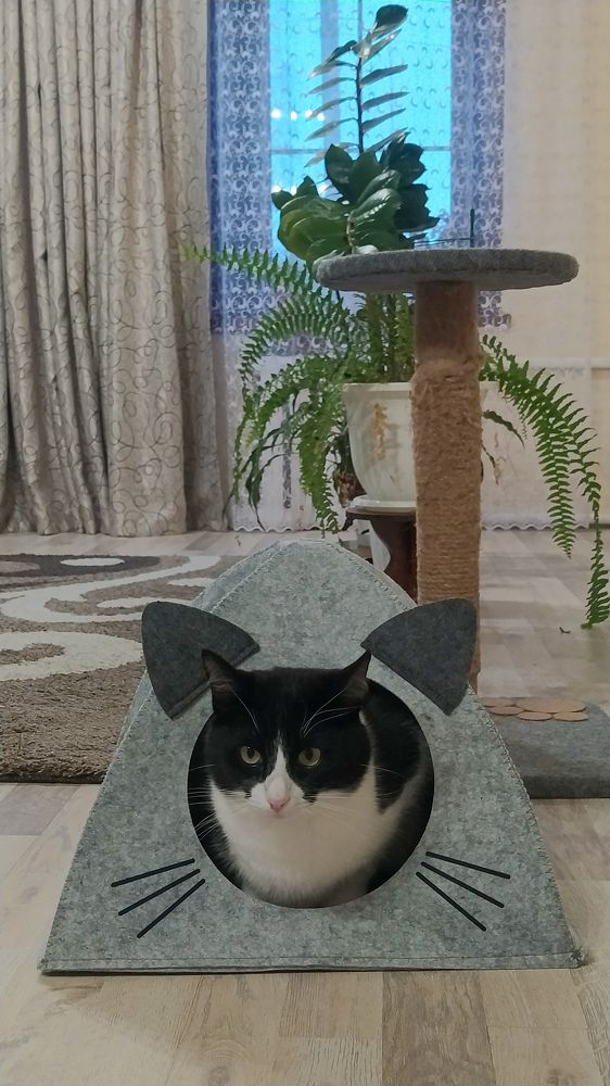 Photograph by Виталий Грачёв