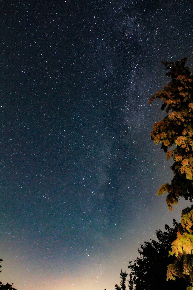 Photograph by Elnaz Tavakoli