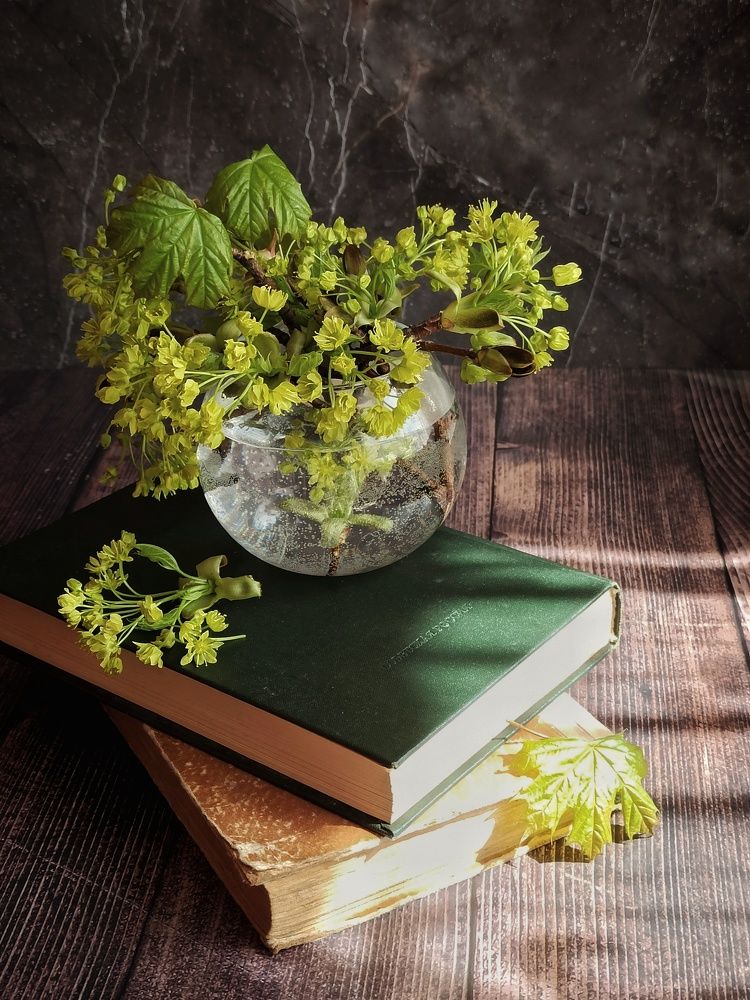 Photograph by Новикова Елена Сергеевна