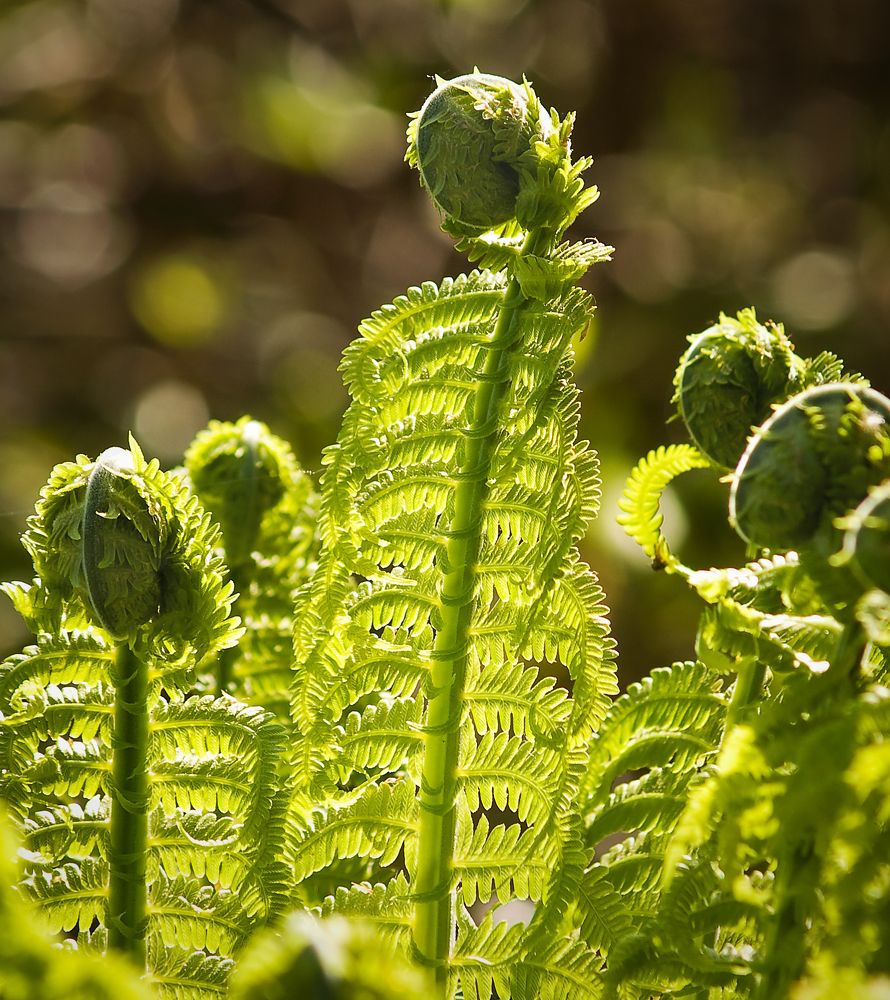 Photograph by Agita Leimane