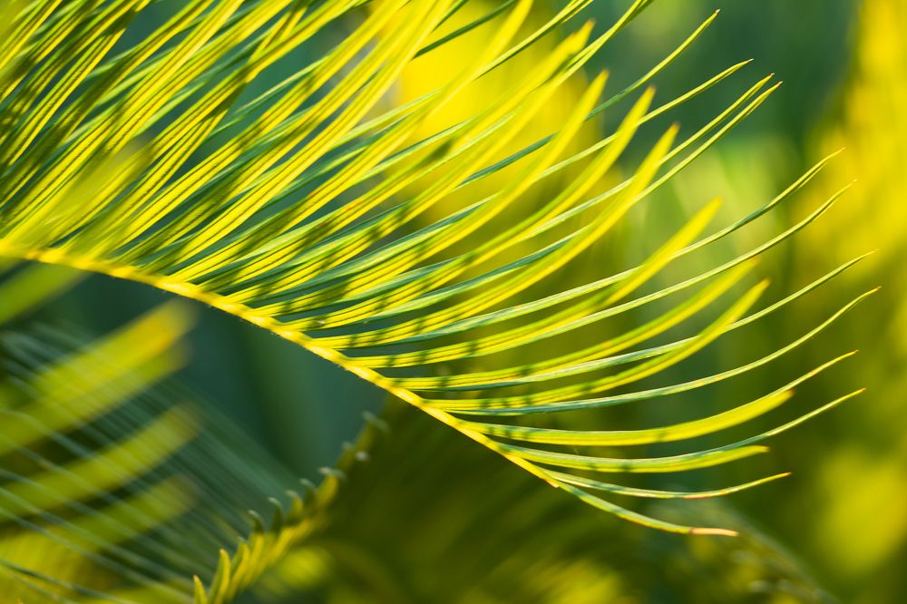 Photograph by Евгения Шулакова