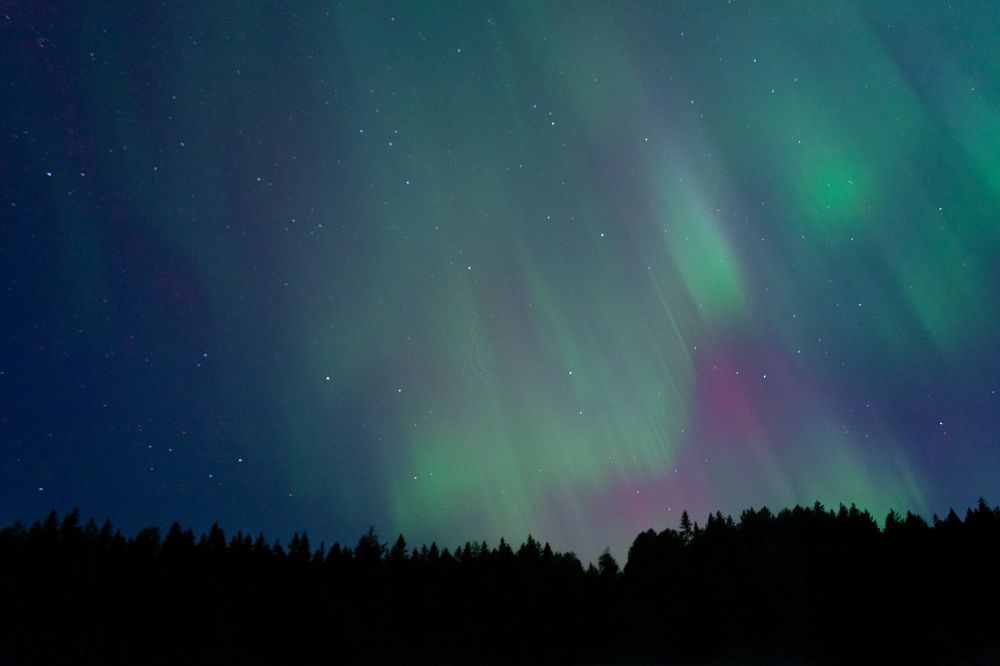 Photograph by Глеб Обуховский