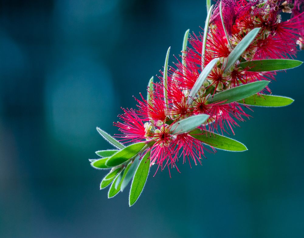 Photograph by Евгения Шулакова
