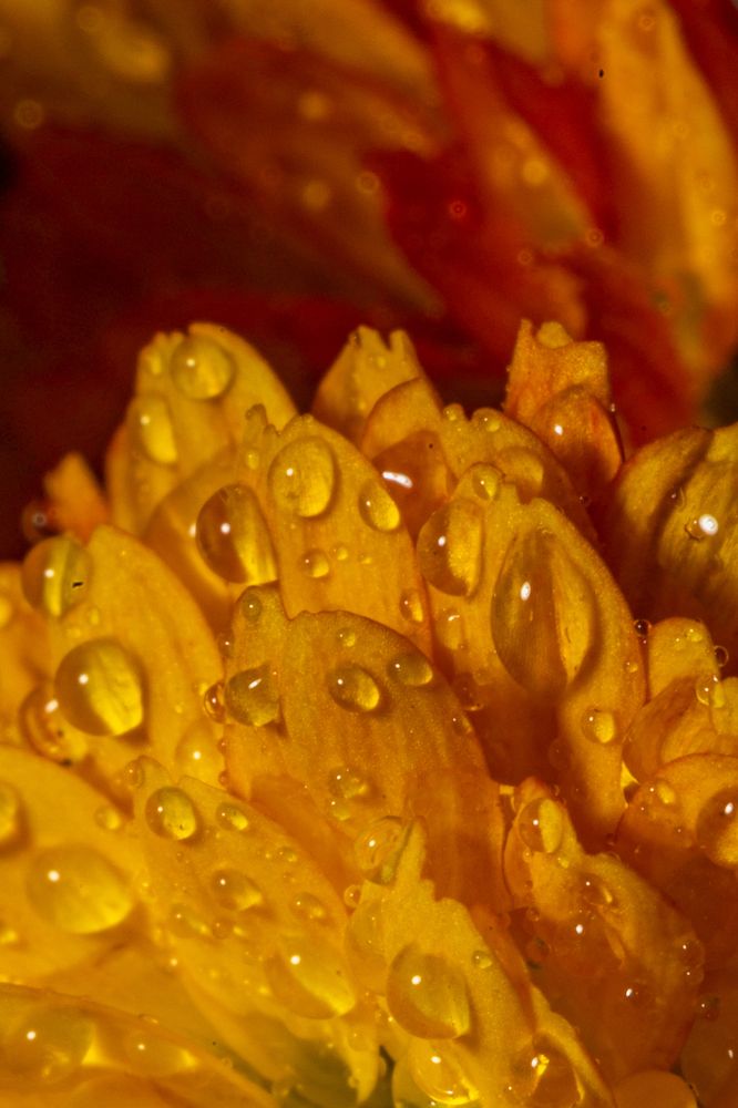 Photograph by Князев Сергей