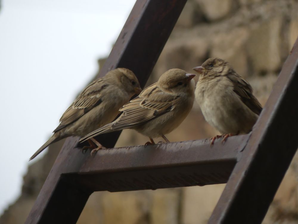 Photograph by ali bakhshi