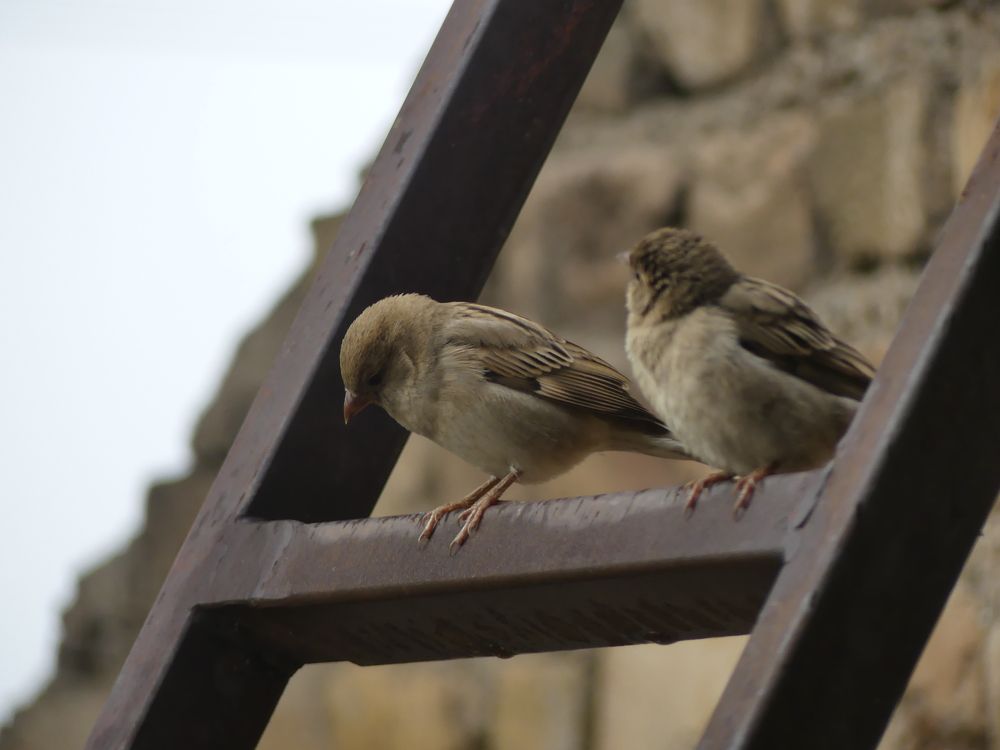 Photograph by ali bakhshi