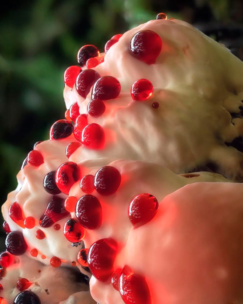 Photograph by Otto Acosta