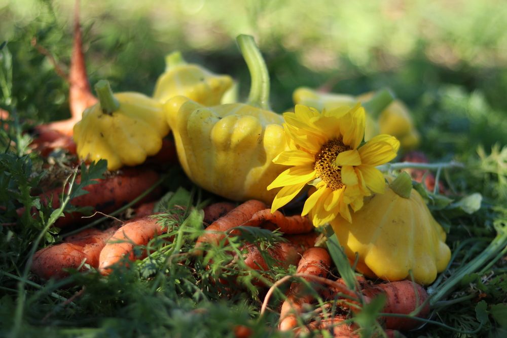 Photograph by Марина Савченко