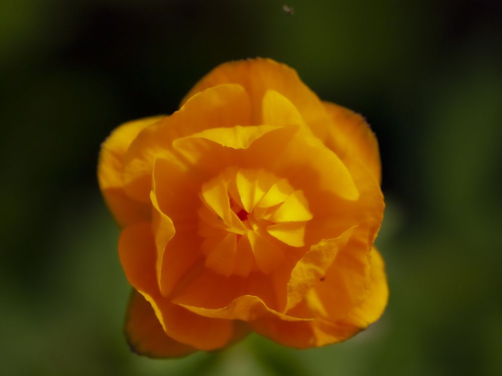 Photograph by Александр