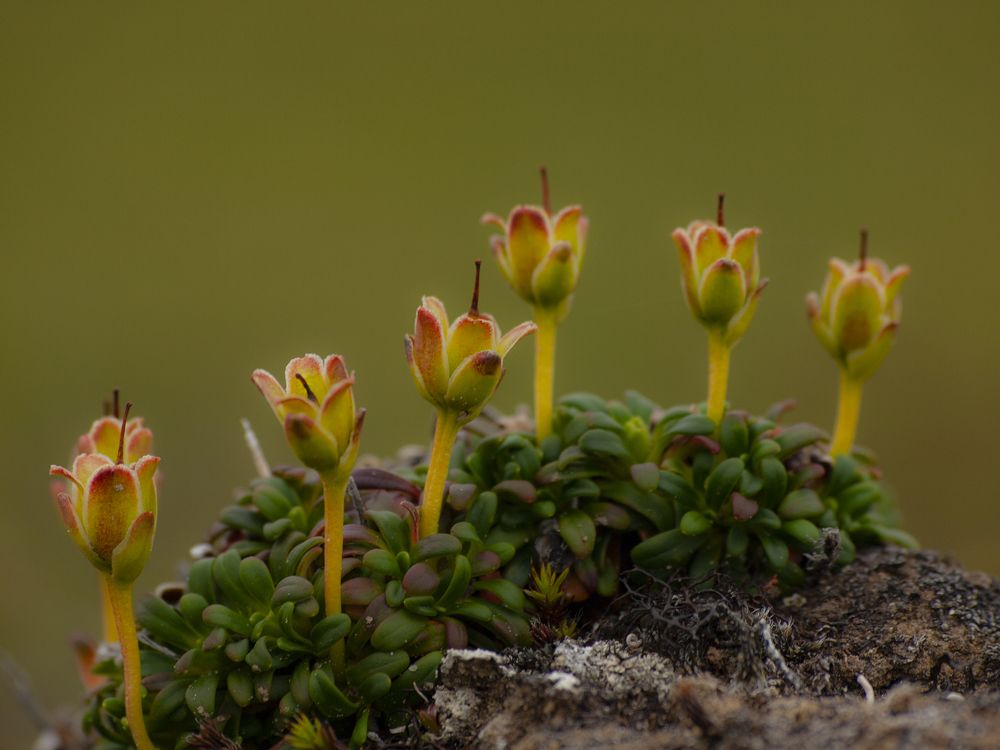 Photograph by Александр