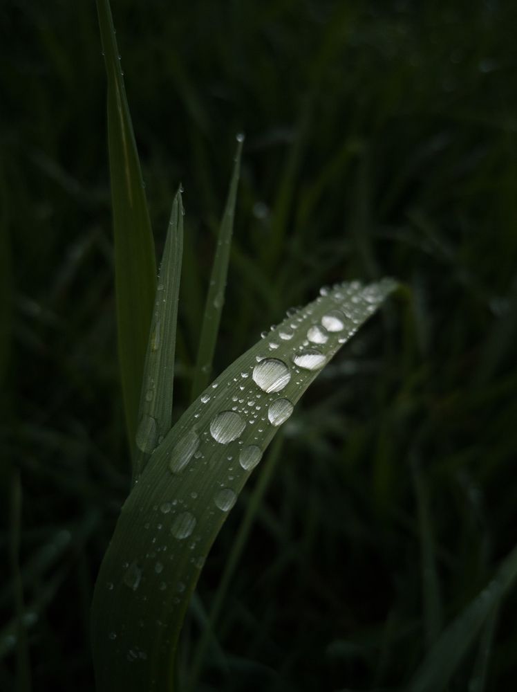 Фотография автора Ketov Vladimir